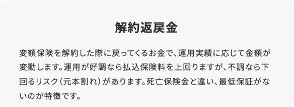 変額保険の解約返戻金の説明(運用実績に応じて金額が変動し、不調なら払込保険料を下回る元本割れのリスクがあり、最低保証がない)